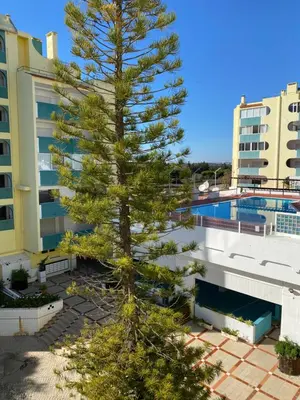 a pine tree in front of a building with a swimming pool at House Amendoeiras , Vila moura in Vilamoura