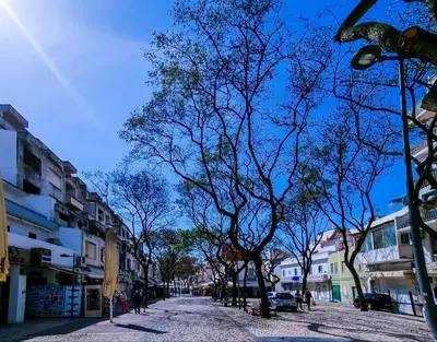 a street with trees on the side of a road at Albufeira Old Town T3 with Balcony in Albufeira