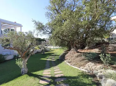 a garden with two trees and a stone path at Happiness Apartment by Stay ici Algarve Holiday Rental in Albufeira
