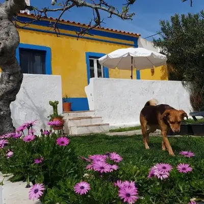 Monte da ti Luzia