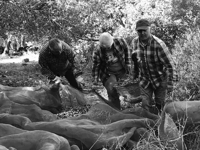 a group of men standing around a group of animals at Boutique Hotel - Casa Esteval in Rocha Amarela