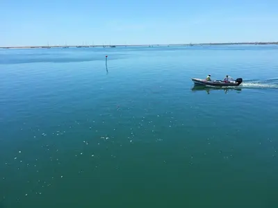 two people in a boat on a large body of water at Lemon Tree Apartments in Faro