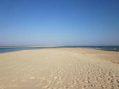 a beach with footprints in the sand and the ocean at Lemon Tree Apartments in Faro