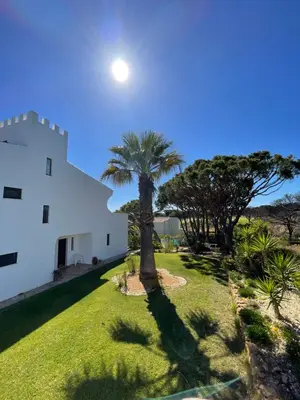 a palm tree in front of a white building at Vila Castelo in Vale do Lobo