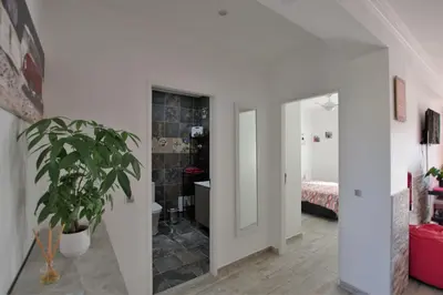 a room with a mirror and a potted plant at AlbufeiraSun, arrive as a guest leave as a friend. in Albufeira