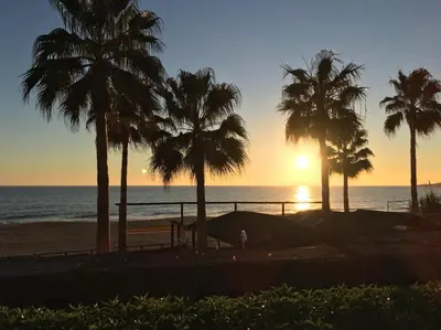 a sunset at the beach with palm trees at Albufeira - Apartment - Sleeps 4 - Pool - Seaside in Albufeira
