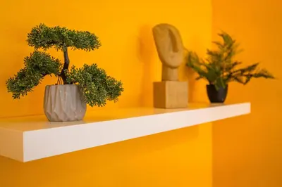 a shelf with two plants on a yellow wall at Villa Canto II - 500m from the Beach - Private Swimming Pool - Wi Fi in Guia
