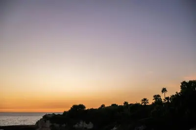 a sunset over a beach with palm trees and the ocean at W Residences Algarve in Albufeira