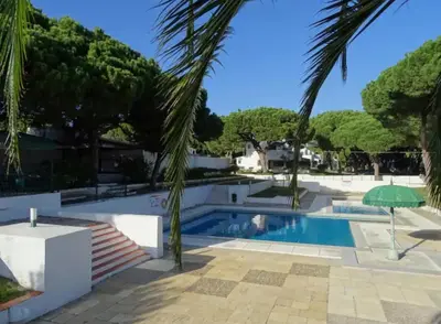 a pool with a palm tree in front of a house at Casa da Bertha in Albufeira