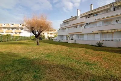 a tree in a yard next to a building at Vilamoura Apartment 3 bedroom in Vilamoura