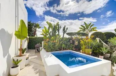 a swimming pool in a garden with plants at Vila Rafa in Albufeira