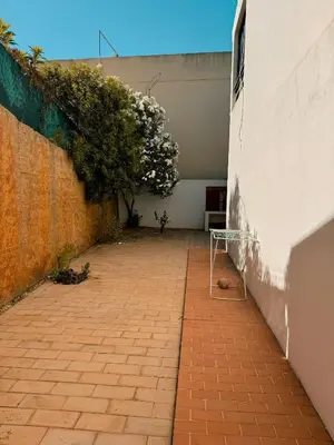 an empty courtyard in a building with a tree at T2 sobre a praia - Albufeira/Olhos de Água in Albufeira