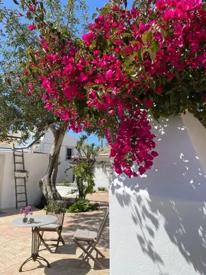 a bunch of pink flowers hanging from a wall at Stilvolles Architekten-Cottage mit Pool in Boliqueime