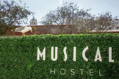 a white swan standing on top of a hedge at Musical Hostel in Albufeira