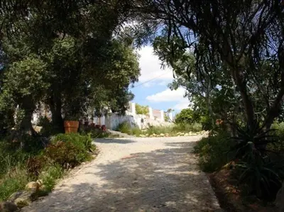 a dirt road with trees and a house in the distance at Quinta do Amendoal o melhor da Natureza no Algarve in Terras Novas