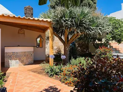 a garden with a tree and some plants at Old Fisherman's Corner 14 - Centro Old Town Albufeira in Albufeira