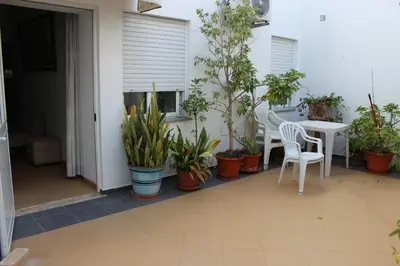 a patio with a table and a bunch of plants at Dom Fernando I in Loulé
