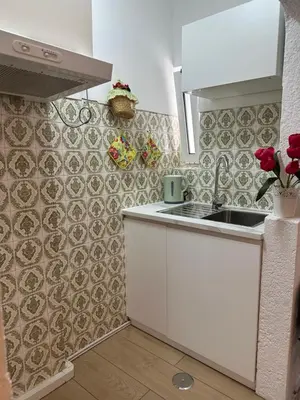 a kitchen with a potted plant in a kitchen at Quarteira Home Beach Férias Tranquilas a 1KM da Praia Totalmente Renovado in Quarteira