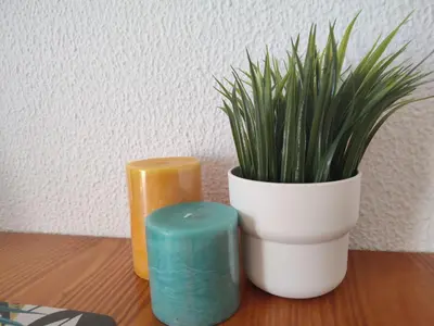 two candles and a potted plant on a table at Endless Summer in Albufeira