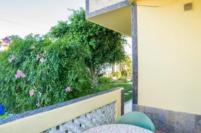 a balcony with a chair and a bush with pink flowers at Apartamento Studio Anastacio in Albufeira