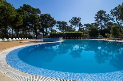 a large blue swimming pool with chairs and trees at Apartment Pine View- Falesia Beach By Dalma Portuguesa in Albufeira