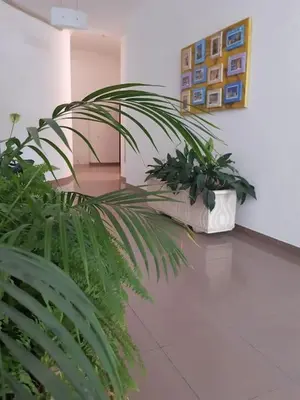 two potted plants sitting on a floor in a room at Apartamento Batalha - Quarteira, Algarve, Portugal in Quarteira