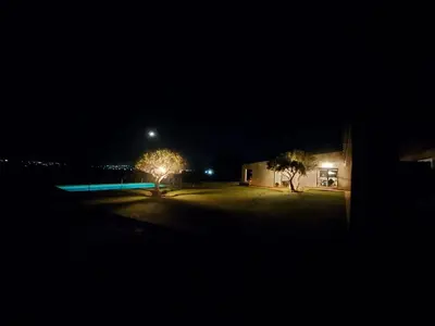 a night view of a house with a tree in a yard at Casa do Cabeçudo in Faro