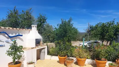 a garden with potted plants and a building at 