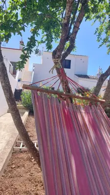 a hammock tied to a tree in front of a house at 