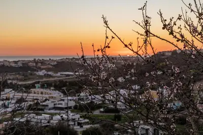 a sunset over a city with a tree in the foreground at Apartamento Sunset on the Sea in Albufeira