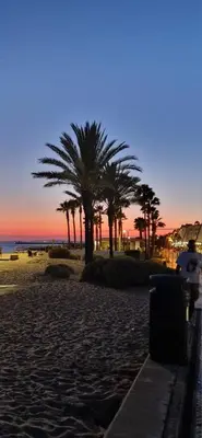 a beach with palm trees and the ocean at sunset at T1, proche plage et commerces in Quarteira