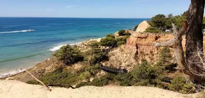 a rock sitting in the grass next to a fence at Maré Alta by CS in Olhos de Água