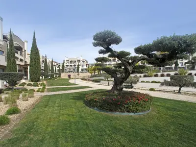a bonsai tree in a garden in a park at Apartment Pine Hills Turquesa by Interhome in Vilamoura