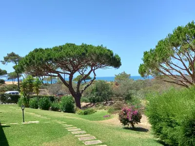 a garden with a tree and a pathway at PARADISE ON THE BEACH in Albufeira