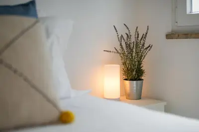 a potted plant sitting on a table next to a lamp at Bright Albufeira - 5min to the beach by LovelyStay in Albufeira