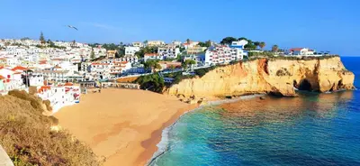 a dolphin swimming in the water in the ocean at Luxury Condo in Top Complex with Ocean and Marina View by Be Cherish in Albufeira