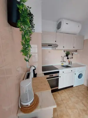a kitchen with a plant hanging from the wall at Coluna Mar in Quarteira