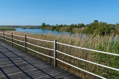 a wooden boardwalk next to a body of water at Casa dos Salgados in Guia