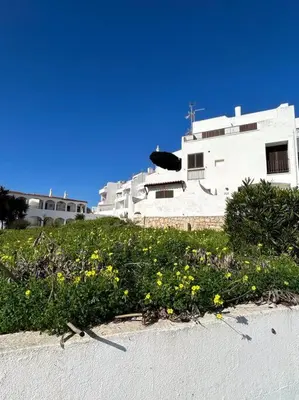 a frisbee in the air over a field of flowers at Bela Vista Algarve in Albufeira