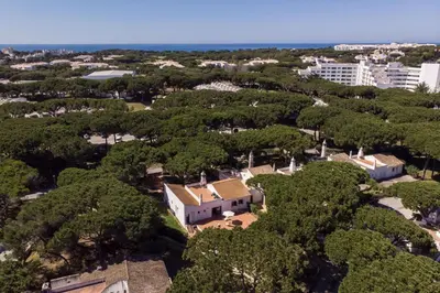 an aerial view of a plantation of trees at Casa da Aldeia in Albufeira