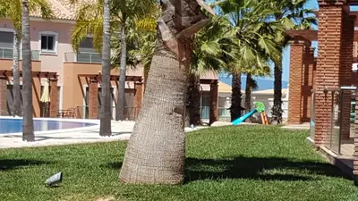 a palm tree in a yard with a playground at Villa Jardins 3 by Sunny Deluxe in Albufeira