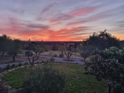 a sunset over a garden with trees and bushes at Eco Lodge Villa das Alfarrobas com Piscina in Algoz
