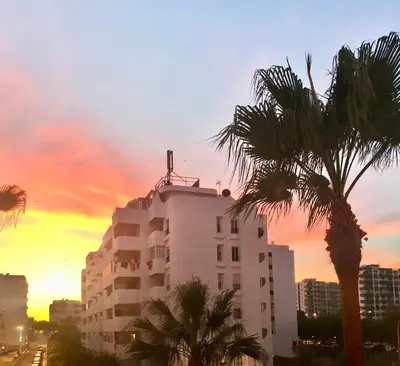 a building with a palm tree in front of a sunset at Amazing Ocean View Apt Steps from the Beach in Quarteira