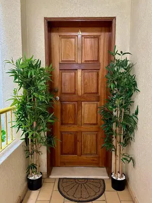 a wooden door with two potted plants in front of it at Amazing Ocean View Apt Steps from the Beach in Quarteira