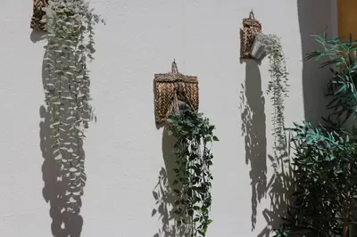a white wall with ivy growing on it at Birdy House in Faro